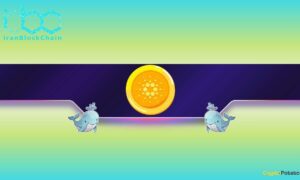 ۱۴۰ میلیون ADA در دو هفته فروخته شد؛ آیا قیمت کاردانو کاهش مییابد؟