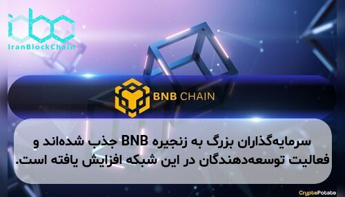 سرمایه‌گذاران بزرگ به زنجیره BNB جذب شده‌اند و فعالیت توسعه‌دهندگان در این شبکه افزایش یافته است.