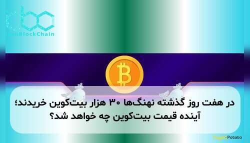 در هفت روز گذشته نهنگ‌ها ۳۰ هزار بیت‌کوین خریدند؛ آینده قیمت بیت‌کوین چه خواهد شد؟