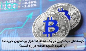 کوسههای بیتکوین در یک هفته ۶۵ هزار بیتکوین خریدند؛ آیا کمبود شدید عرضه در راه است؟