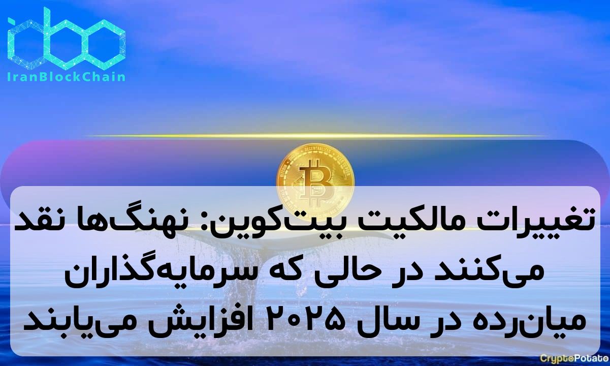 تغییرات مالکیت بیت‌کوین: نهنگ‌ها نقد می‌کنند در حالی که سرمایه‌گذاران میان‌رده در سال ۲۰۲۵ افزایش می‌یابند