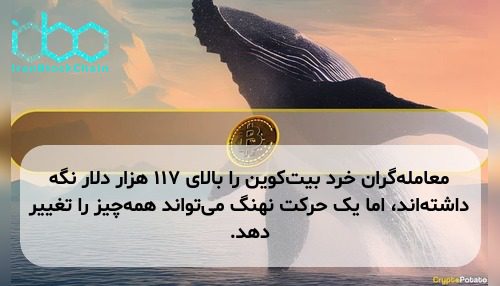 معامله‌گران خرد بیت‌کوین را بالای ۱۱۷ هزار دلار نگه داشته‌اند، اما یک حرکت نهنگ می‌تواند همه‌چیز را تغییر دهد.