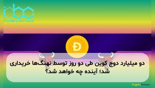 دو میلیارد دوج کوین طی دو روز توسط نهنگ‌ها خریداری شد؛ آینده چه خواهد شد؟