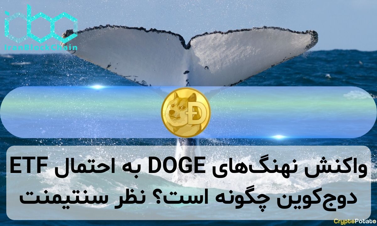 واکنش نهنگ‌های DOGE به احتمال ETF دوج‌کوین چگونه است؟ نظر سنتیمنت