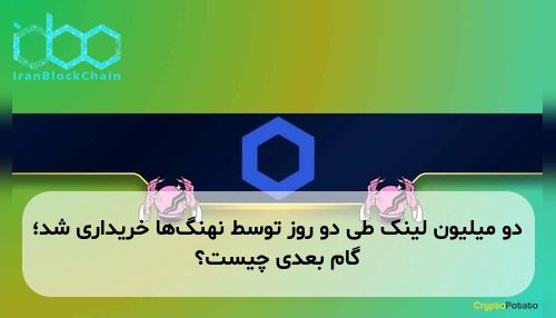 دو میلیون لینک طی دو روز توسط نهنگ‌ها خریداری شد؛ گام بعدی چیست؟