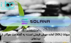 سولانا (SOL) آماده جهش قیمتی است؛ به گفته مت هوگان از بیتوایز.