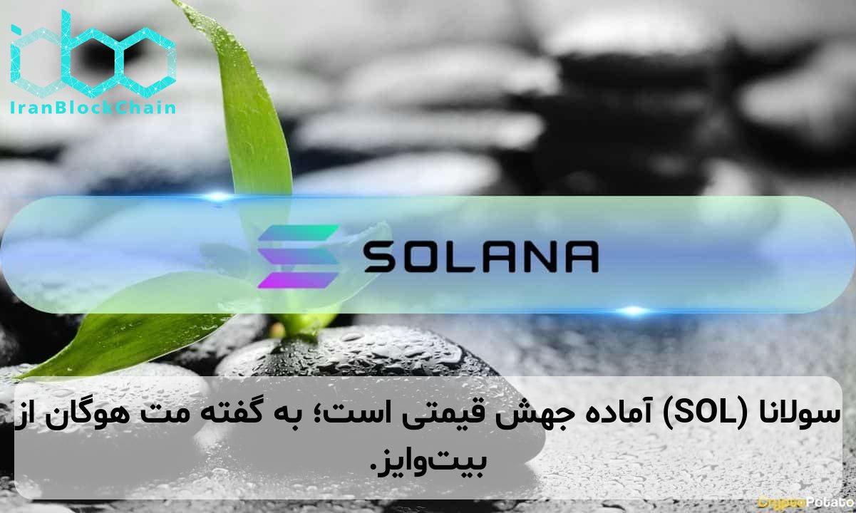 سولانا (SOL) آماده جهش قیمتی است؛ به گفته مت هوگان از بیت‌وایز.