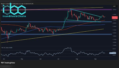 تحلیل قیمت ریپل: XRP پایه محکمی برای ثبت رکورد جدید ساخته است.