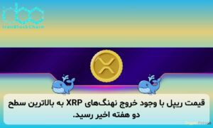 قیمت ریپل با وجود خروج نهنگهای XRP به بالاترین سطح دو هفته اخیر رسید.