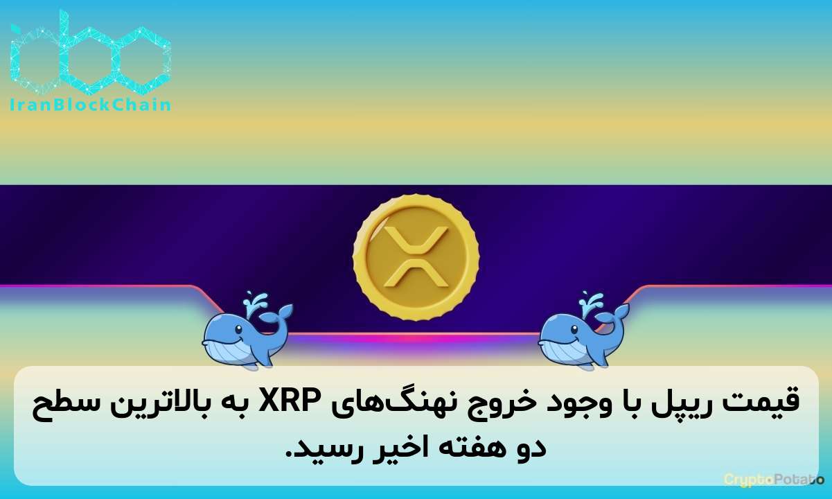 قیمت ریپل با وجود خروج نهنگ‌های XRP به بالاترین سطح دو هفته اخیر رسید.