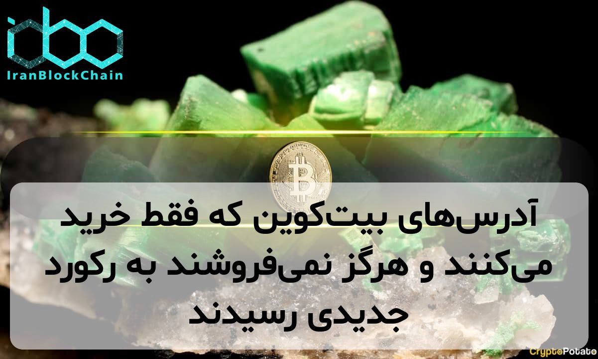آدرس‌های بیت‌کوین که فقط خرید می‌کنند و هرگز نمی‌فروشند به رکورد جدیدی رسیدند