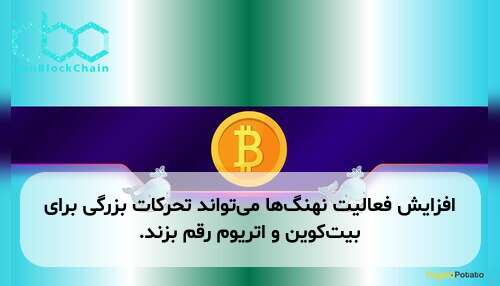 افزایش فعالیت نهنگها میتواند تحرکات بزرگی برای بیتکوین و اتریوم رقم بزند.