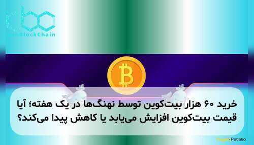 خرید ۶۰ هزار بیت‌کوین توسط نهنگ‌ها در یک هفته؛ آیا قیمت بیت‌کوین افزایش می‌یابد یا کاهش پیدا می‌کند؟