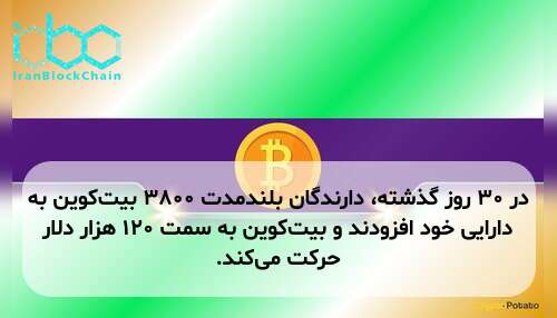 در ۳۰ روز گذشته، دارندگان بلندمدت ۳۸۰۰ بیت‌کوین به دارایی خود افزودند و بیت‌کوین به سمت ۱۲۰ هزار دلار حرکت می‌کند.