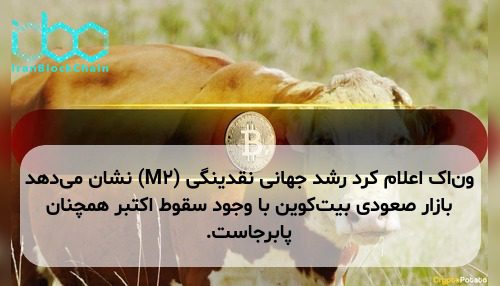 ون‌اک اعلام کرد رشد جهانی نقدینگی (M2) نشان می‌دهد بازار صعودی بیت‌کوین با وجود سقوط اکتبر همچنان پابرجاست.