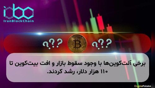 برخی آلتکوینها با وجود سقوط بازار و افت بیتکوین تا ۱۱۰ هزار دلار، رشد کردند.