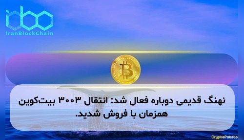 نهنگ قدیمی دوباره فعال شد: انتقال ۳۰۰۳ بیت‌کوین همزمان با فروش شدید.