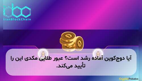 آیا دوج‌کوین آماده رشد است؟ عبور طلایی مکدی این را تأیید می‌کند.