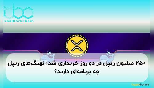 ۲۵۰ میلیون ریپل در دو روز خریداری شد؛ نهنگ‌های ریپل چه برنامه‌ای دارند؟