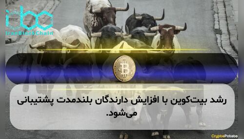 رشد بیت‌کوین با افزایش دارندگان بلندمدت پشتیبانی می‌شود.