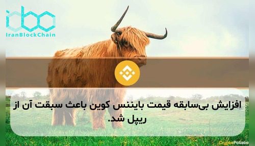 افزایش بی‌سابقه قیمت بایننس کوین باعث سبقت آن از ریپل شد.