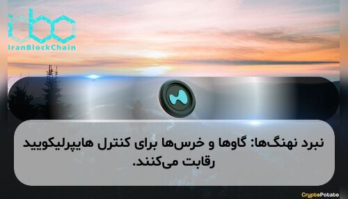 نبرد نهنگ‌ها: گاوها و خرس‌ها برای کنترل هایپرلیکویید رقابت می‌کنند.