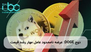 دوج DOGE: عرضه نامحدود عامل مهار رشد قیمت