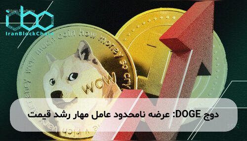دوج DOGE: عرضه نامحدود عامل مهار رشد قیمت