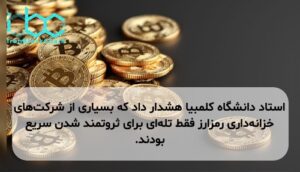 استاد دانشگاه کلمبیا هشدار داد که بسیاری از شرکت‌های خزانه‌داری رمزارز فقط تله‌ای برای ثروتمند شدن سریع بودند.