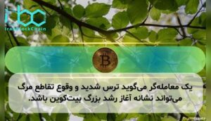 یک معامله‌گر می‌گوید ترس شدید و وقوع تقاطع مرگ می‌تواند نشانه آغاز رشد بزرگ بیت‌کوین باشد.