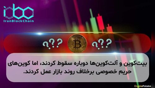 بیت‌کوین و آلت‌کوین‌ها دوباره سقوط کردند، اما کوین‌های حریم خصوصی برخلاف روند بازار عمل کردند.
