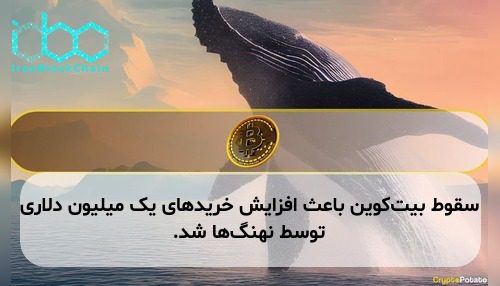 سقوط بیت‌کوین باعث افزایش خریدهای یک میلیون دلاری توسط نهنگ‌ها شد.