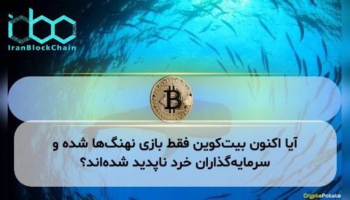 آیا اکنون بیت‌کوین فقط بازی نهنگ‌ها شده و سرمایه‌گذاران خرد ناپدید شده‌اند؟