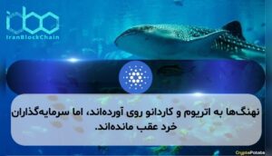 نهنگ‌ها به اتریوم و کاردانو روی آورده‌اند، اما سرمایه‌گذاران خرد عقب مانده‌اند.