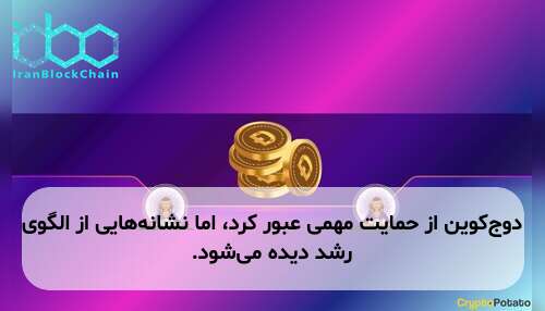 دوج‌کوین از حمایت مهمی عبور کرد، اما نشانه‌هایی از الگوی رشد دیده می‌شود.