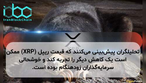 تحلیلگران پیش‌بینی می‌کنند که قیمت ریپل (XRP) ممکن است یک کاهش دیگر را تجربه کند و خوشحالی سرمایه‌گذاران زودهنگام بوده است.