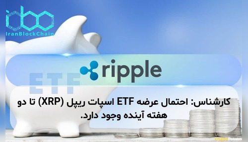 کارشناس: احتمال عرضه ETF اسپات ریپل (XRP) تا دو هفته آینده وجود دارد.