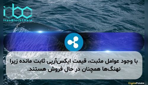 با وجود عوامل مثبت، قیمت ایکس‌آر‌پی ثابت مانده زیرا نهنگ‌ها همچنان در حال فروش هستند.