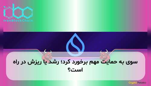 سوی به حمایت مهم برخورد کرد؛ رشد یا ریزش در راه است؟