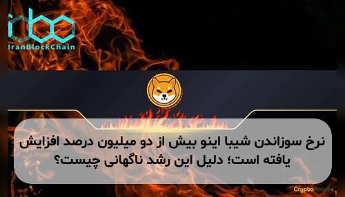 نرخ سوزاندن شیبا اینو بیش از دو میلیون درصد افزایش یافته است؛ دلیل این رشد ناگهانی چیست؟