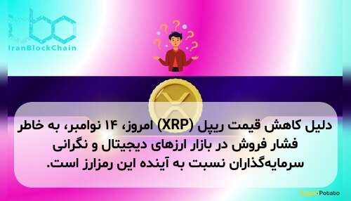 دلیل کاهش قیمت ریپل (XRP) امروز، ۱۴ نوامبر، به خاطر فشار فروش در بازار ارزهای دیجیتال و نگرانی سرمایه‌گذاران نسبت به آینده این رمزارز است.