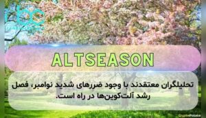 تحلیلگران معتقدند با وجود ضررهای شدید نوامبر، فصل رشد آلت‌کوین‌ها در راه است.