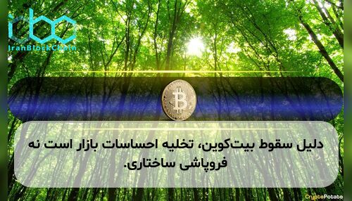 دلیل سقوط بیت‌کوین، تخلیه احساسات بازار است نه فروپاشی ساختاری.