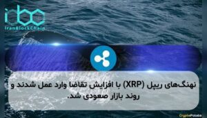 نهنگهای ریپل (XRP) با افزایش تقاضا وارد عمل شدند و روند بازار صعودی شد.