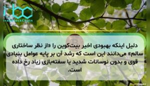 دلیل اینکه بهبودی اخیر بیتکوین را «از نظر ساختاری سالم» میدانند این است که رشد آن بر پایه عوامل بنیادی قوی و بدون نوسانات شدید یا سفتهبازی زیاد رخ داده است.