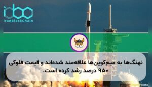 نهنگها به میمکوینها علاقهمند شدهاند و قیمت فلوکی ۹۵۰ درصد رشد کرده است.