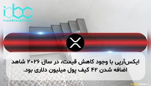 ایکس‌آر‌پی با وجود کاهش قیمت، در سال ۲۰۲۶ شاهد اضافه شدن ۴۲ کیف پول میلیون دلاری بود.