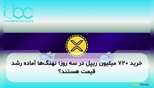 خرید ۷۲۰ میلیون ریپل در سه روز؛ نهنگ‌ها آماده رشد قیمت هستند؟