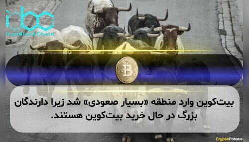 بیت‌کوین وارد منطقه «بسیار صعودی» شد زیرا دارندگان بزرگ در حال خرید بیت‌کوین هستند.