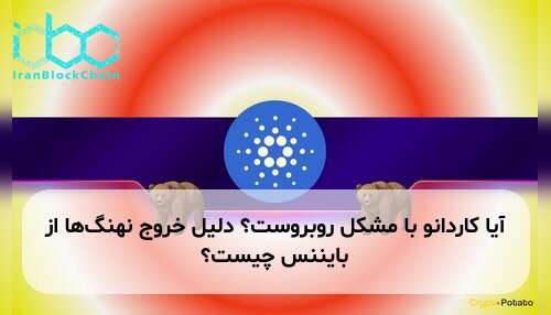 آیا کاردانو با مشکل روبروست؟ دلیل خروج نهنگ‌ها از بایننس چیست؟